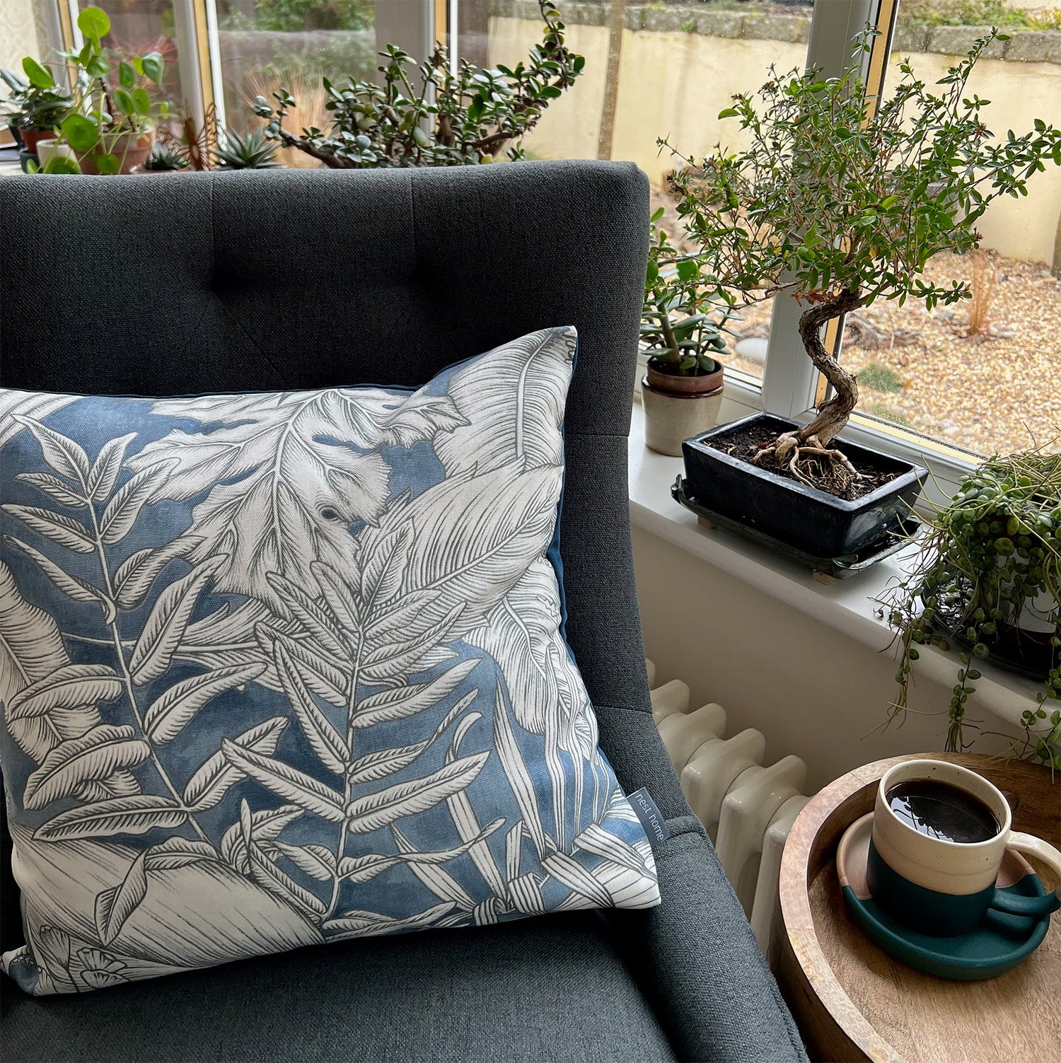 Cushions (Limited Edition) Collection