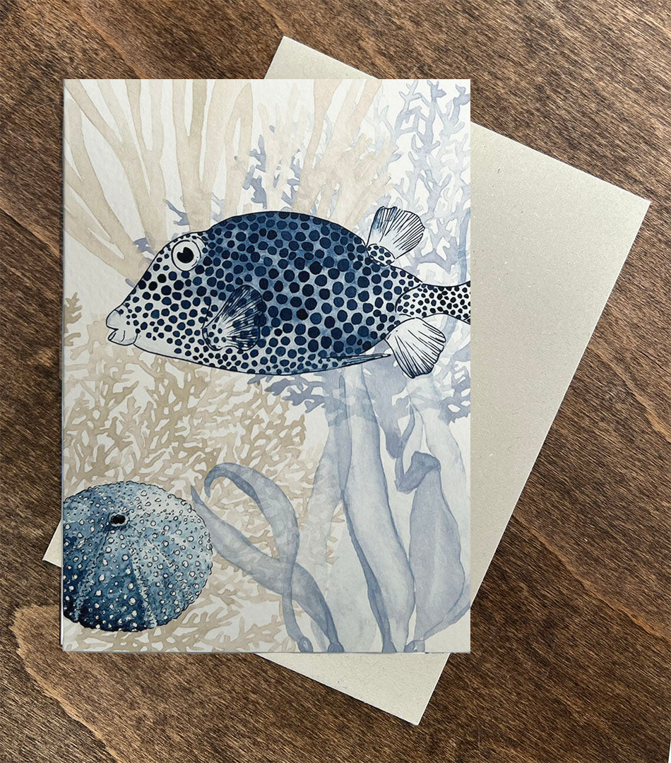 Box Fish Card