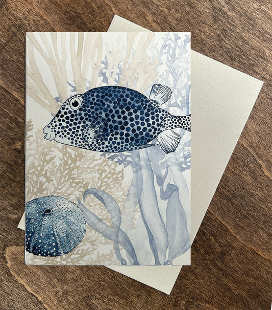Box Fish Card